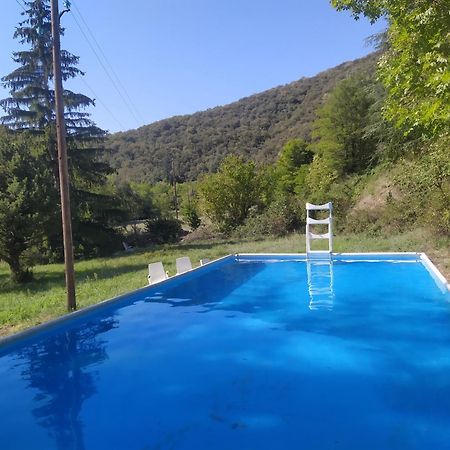 La Grenouille Bed and Breakfast Valleraugue Εξωτερικό φωτογραφία