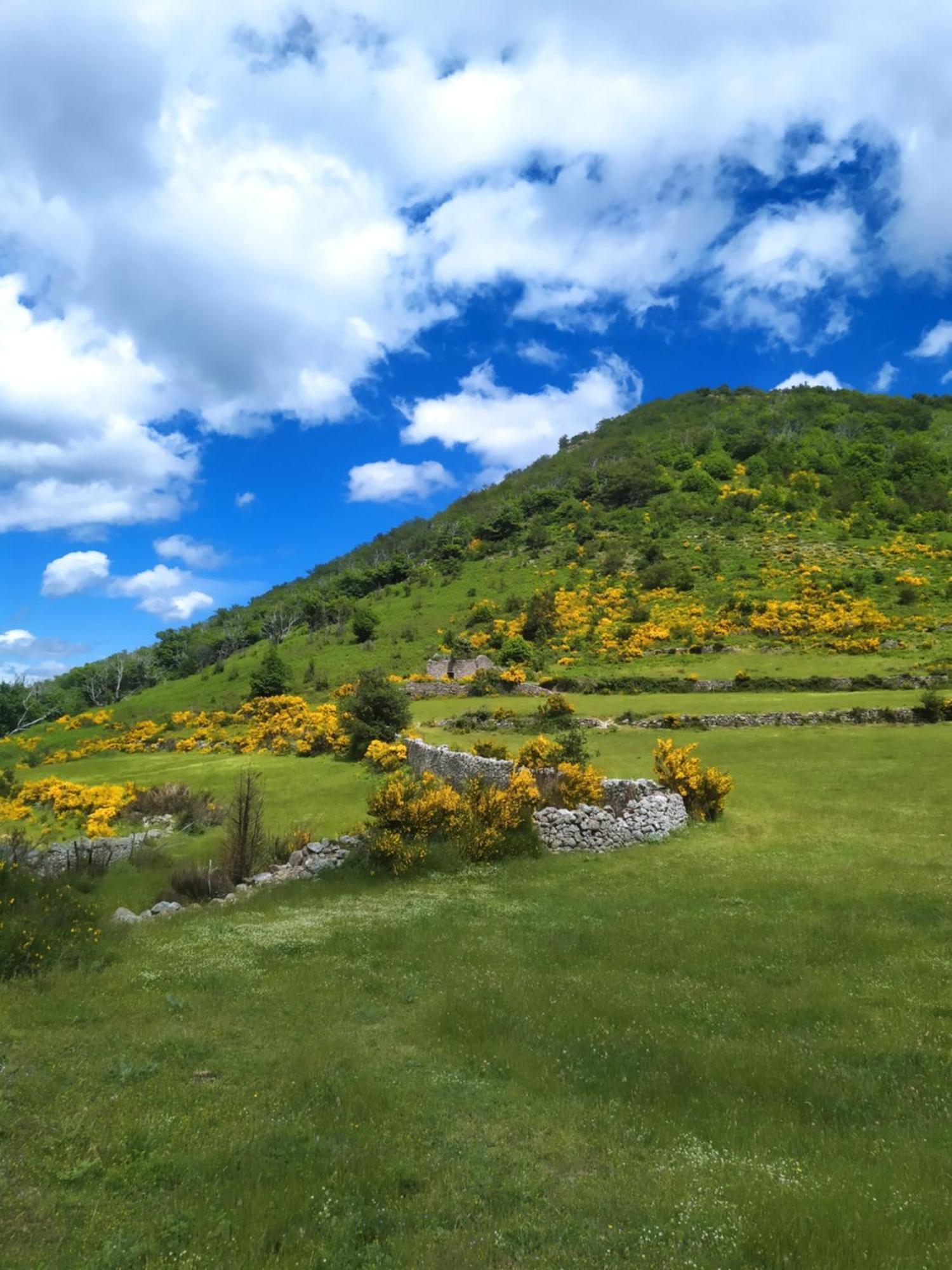 La Grenouille Bed and Breakfast Valleraugue Εξωτερικό φωτογραφία