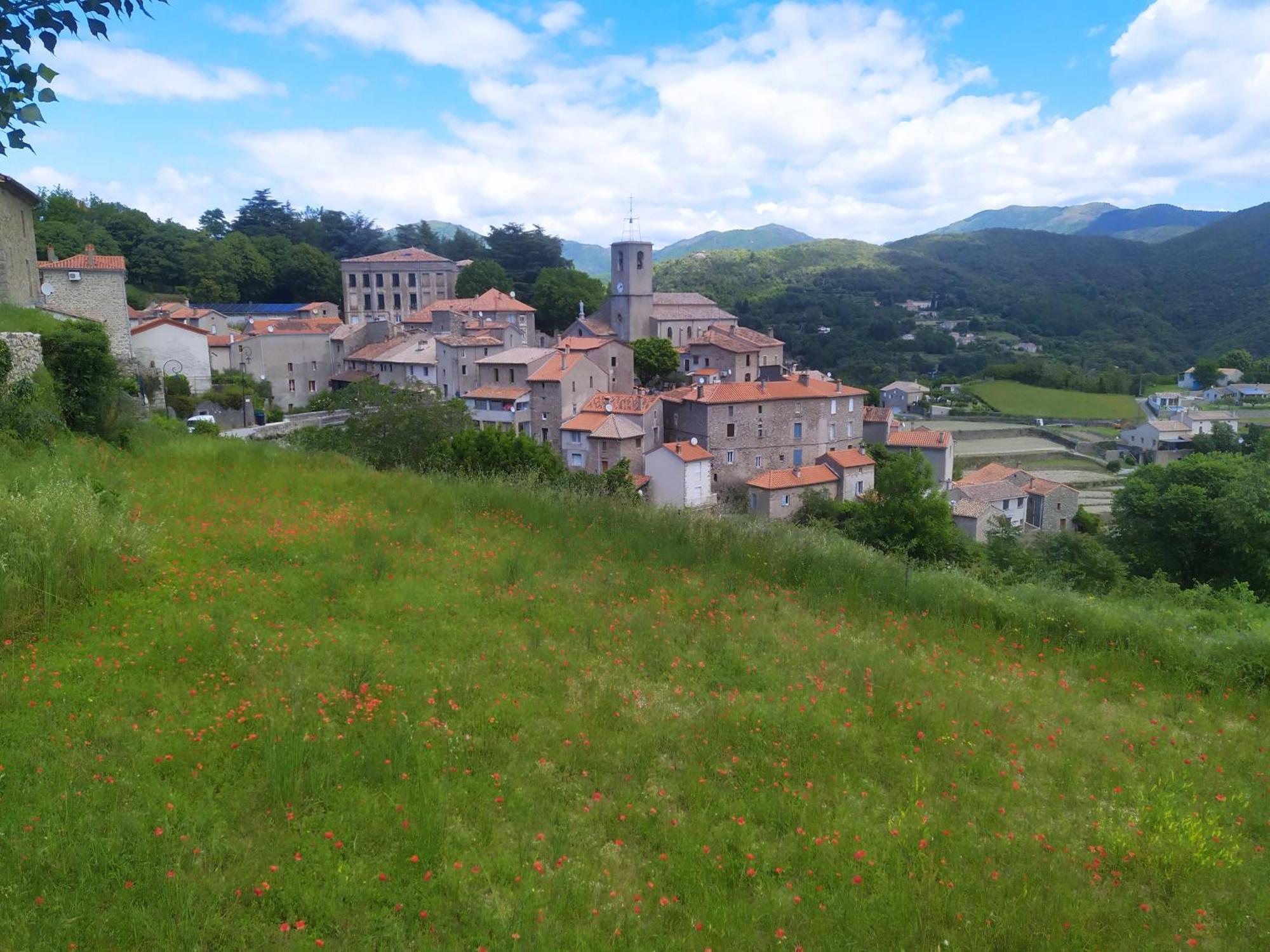 La Grenouille Bed and Breakfast Valleraugue Εξωτερικό φωτογραφία