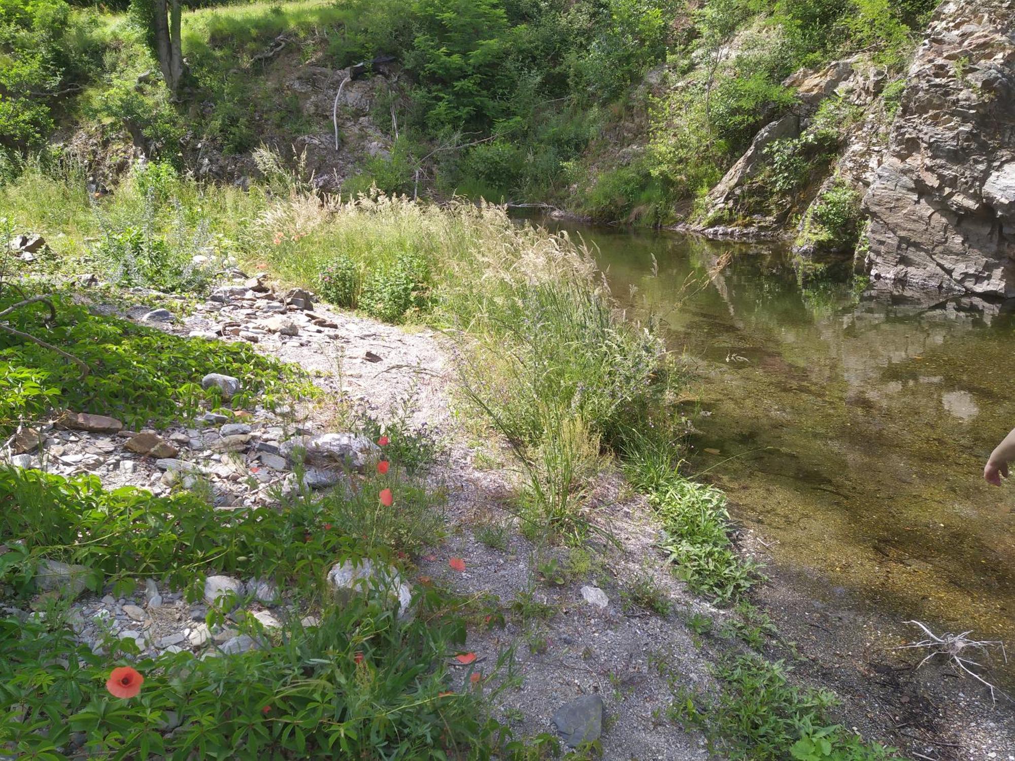 La Grenouille Bed and Breakfast Valleraugue Εξωτερικό φωτογραφία