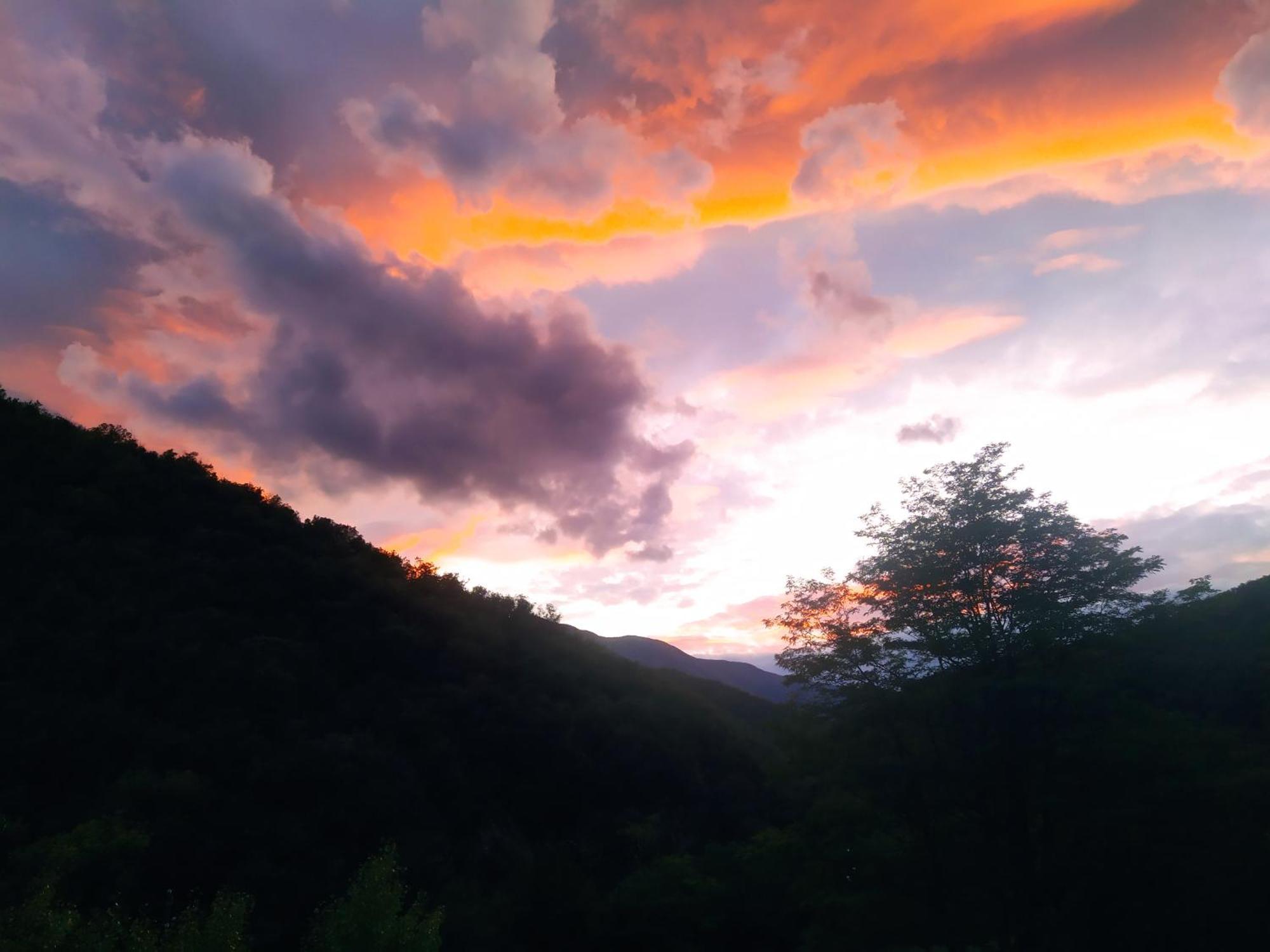 La Grenouille Bed and Breakfast Valleraugue Εξωτερικό φωτογραφία